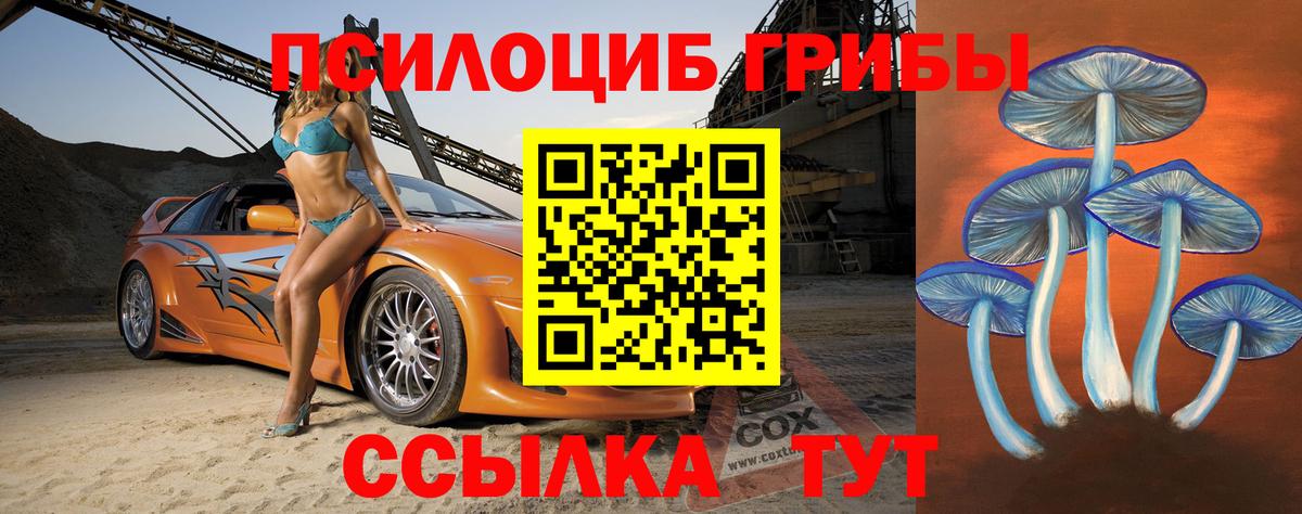 Аша  Галлюциногенные грибы GOLDEN TEACHER  Вход с VPN 